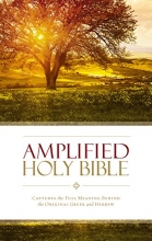 Cover art for Amplified Holy Bible, Paperback: Captures the Full Meaning Behind the Original Greek and Hebrew