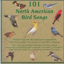 Cover art for 101 North American Bird Songs