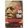 Cover art for Fire on the Mountains: The Story of a Miracle - The Church in Ethiopia