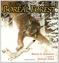 Cover art for Life in the Boreal Forest