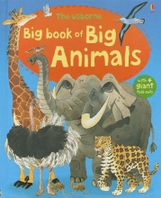 Cover art for The Usborne Big Book of Big Animals