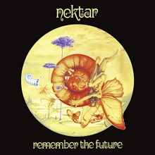 Cover art for Remember The Future