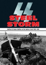 Cover art for SS Steel Storm
