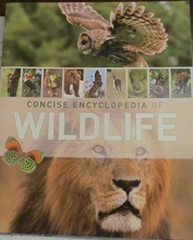 Cover art for Concise Encyclopedia of Wildlife