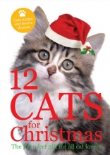 Cover art for Twelve Cats for Christmas (Touch and Feel)