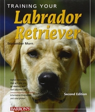 Cover art for Training Your Labrador Retriever (Training Your Dog Series)