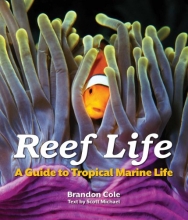 Cover art for Reef Life: A Guide to Tropical Marine Life