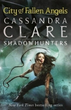 Cover art for City of Fallen Angels