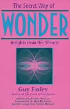 Cover art for The Secret Way of Wonder: Insights from the Silence