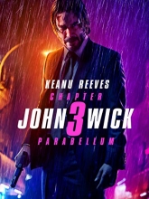 Cover art for John Wick: Chapter 3  Parabellum [Blu-ray] 