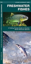 Cover art for Freshwater Fishes: A Folding Pocket Guide to Familiar North American Species (Wildlife and Nature Identification) (Arabic Edition)