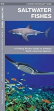 Cover art for Saltwater Fishes: A Folding Pocket Guide to Familiar North American Species (Wildlife and Nature Identification)