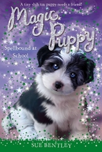 Cover art for Spellbound at School #11 (Magic Puppy)
