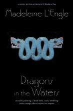 Cover art for Dragons in the Waters