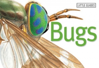Cover art for Bugs (Little Guides)