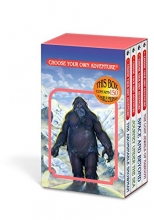 Cover art for The Abominable Snowman/Journey Under the Sea/Space and Beyond/The Lost Jewels of Nabooti (Choose Your Own Adventure 1-4)