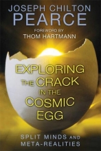 Cover art for Exploring the Crack in the Cosmic Egg: Split Minds and Meta-Realities