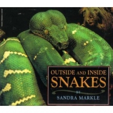 Cover art for Outside and Inside Snakes