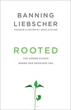 Cover art for Rooted: The Hidden Places Where God Develops You