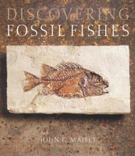 Cover art for Discovering Fossil Fishes