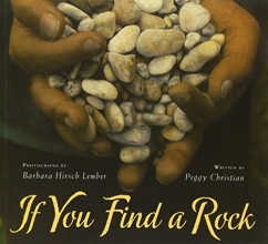 Cover art for If You Find a Rock