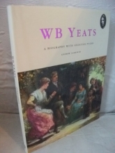 Cover art for W. B. Yeats: A Biography with selected Poems