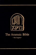 Cover art for The Targum of Lamentations 17B (Aramaic Bible)