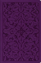 Cover art for ESV Compact Bible (Floral Plum Design)