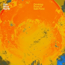 Cover art for Drinking From A Salt Pond