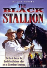 Cover art for The Black Stallion