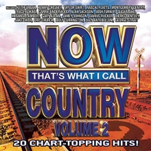 Cover art for NOW That's What I Call Country Vol. 2