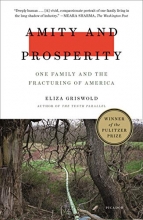 Cover art for Amity and Prosperity: One Family and the Fracturing of America