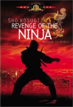 Cover art for Revenge of the Ninja
