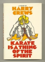 Cover art for Karate Is a Thing of the Spirit: A Novel
