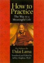 Cover art for How to Practice : The Way to a Meaningful Life
