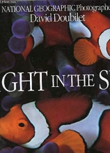Cover art for Light in the Sea (Evergreen)