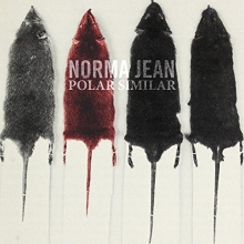Cover art for Polar Similar