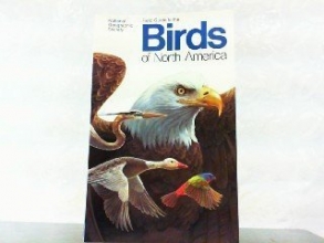 Cover art for Field Guide to the Birds of North America