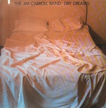 Cover art for DRY DREAMS [LP VINYL]