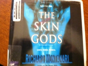 Cover art for Skin Gods, the (Lib)(CD)