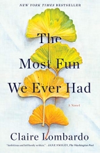 Cover art for The Most Fun We Ever Had: A Novel