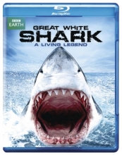 Cover art for Great White Shark:A Living Legend