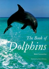 Cover art for The Book of Dolphins