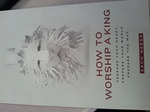 Cover art for How to Worship a King