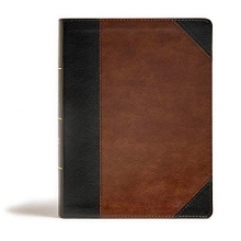 Cover art for CSB Tony Evans Study Bible, Black/Brown LeatherTouch, Indexed