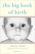 Cover art for The Big Book of Birth