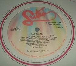 Cover art for The Fat Boys Are Back