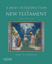 Cover art for A Brief Introduction to the New Testament