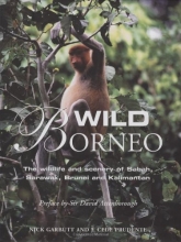 Cover art for Wild Borneo: The Wildlife and Scenery of Sabah, Sarawak, Brunei, and Kalimantan (The MIT Press)