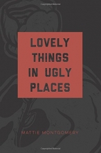 Cover art for Lovely Things in Ugly Places